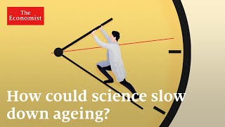 Longevity can ageing be reversed [upl. by Inman982]