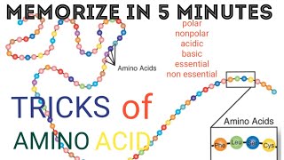 Tricks of AMINO ACIDpolarnonpolaressentialnonessentialacidicbasicNEETCSIR NETGATE [upl. by Gaelan758]