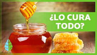 8 Increíbles BENEFICIOS de la MIEL 🍯✅ ¿Qué Pasa si Tomas MIEL Cada Mañana [upl. by Oramug]