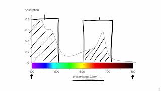 Absorptionsspektrum der Chloroplasten  oder wieso sind Blätter grün [upl. by Esilahs]