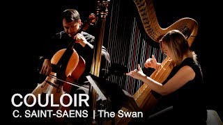 Camille SaintSaëns The Swan  Couloir [upl. by Lucie]