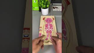 Interesting puzzles help you learn about body organs and structures [upl. by Jehias]