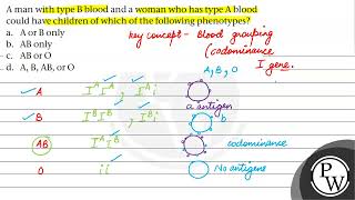 A man with type B blood and a woman who has type A blood could have children of which of the fol [upl. by Nivat]