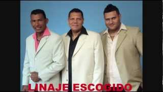 LINAJE ESCOGIDO VALLENATO  CAMBIO MI VIDA [upl. by Ahsie]