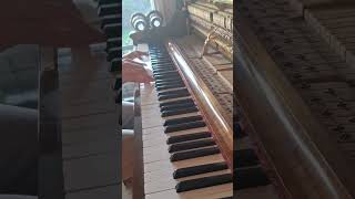 Beautiful arpeggiated Chord Progression Piano Improvisation [upl. by Yssac624]