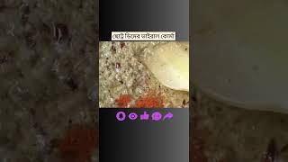 Koyel pakhir dim ar korma🥚 dimerkorma dimrecipe cookingbysanjida [upl. by Bundy]