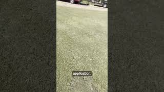 Steves Fall Fertilization and Overseeding Part 9🌱 [upl. by Ekez515]