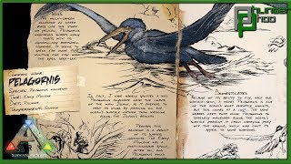 Ark Basic Pelagornis  EVERYTHING YOU NEED TO KNOW [upl. by Wardlaw]