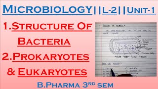 Microbiology  Structure Of Bacteria  Prokaryotes amp Eukaryotes L2Unit1 Bpharma 3rd sem [upl. by Haley]