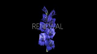 Renewal  Official Music Video  Flowers [upl. by Ayiotal204]