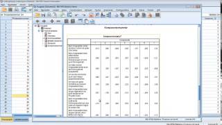 Explorative Faktorenanalyse mit SPSS [upl. by Ellehcyt]