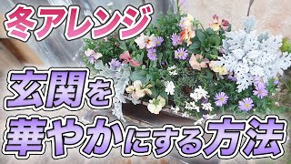 【真似したい‼︎】ステキな寄せ植えで冬の玄関を華やかに♪簡単にできる新たな作り方をお伝えします【初心者向け】【ガーデニング】【園芸チャンネル】【傾斜コンテナ】 [upl. by Nolubez869]