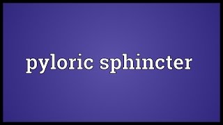 Pyloric sphincter Meaning [upl. by Edla282]