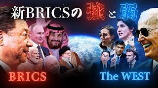 【BRICS】は本当にアメリカ支配を終わらせる力を持っているのか [upl. by Caren]