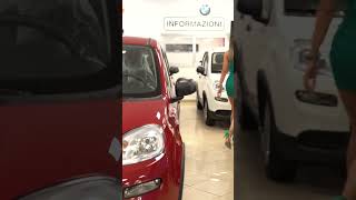 ROTOLO AUTOMOBILI A TORINO TI ASPETTA CON TANTISSIME FIAT PANDA in PRONTA CONSEGNA fiatpanda [upl. by Auqenwahs]