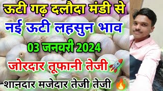 दलोदा मंडी आज का नई ऊटी लहसुन का भाव 03 जनवरी 2024 new ooty garlic rate today dalodanai lahsun [upl. by Maccarthy612]