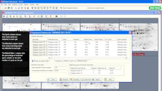 PDQuest™ Software Tutorials — Experiment Summary Tools for Spot Rematching [upl. by Tyree742]