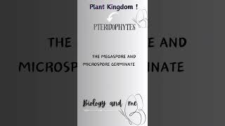 pteridophytes fypシ゚viral study neet neetbiology class11th ncertbiology dontmissmustwatch [upl. by Heidie768]