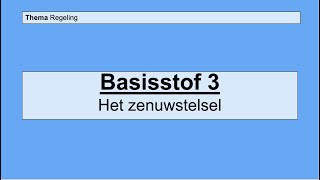 Havo 4  Regeling  Basisstof 3 Het zenuwstelsel [upl. by Ym]