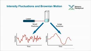 A basic introduction to Dynamic Light Scattering DLS for particle size analysis [upl. by Leffert450]