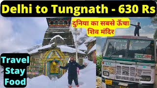 Delhi to Tungnath Temple in 630 Rs  Travel  Stay  Food  2022 [upl. by Syl507]