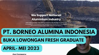 Lowongan Kerja Pertambangan  PT Borneo Alumina Indonesia Mei 2023 [upl. by Eurd325]