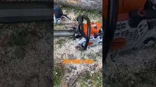 Stihl 661C Chainsaw The Ultimate Showdown [upl. by Naihs]