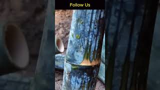 5 Minute Bushcraft Shelter Hack for Busy Campers [upl. by Assyram565]