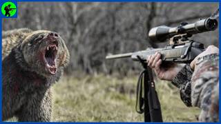 How Do American Hunters Deal With Thousands Of Black Bears  Farming Documentary [upl. by Clements]