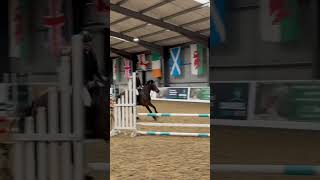 Showjumping at Northcote ✨🩷💙🐴✨ [upl. by Eirrek]