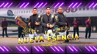 VIDEOSPOT BAILE HUASTECO LOS REYES LA PAZ ESTADO DE MÉXICO 2024 [upl. by Anivla]