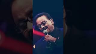 💚Manram vantha thenraluku🤗 spb hits ilayaraja hits  mouna raagam music tamilsong [upl. by Ellatsirhc]