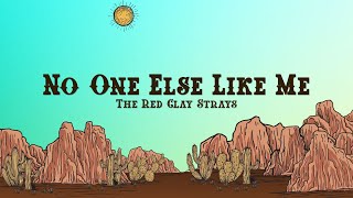 The Red Clay Strays  No One Else Like Me Lyrics [upl. by Yerahcaz]