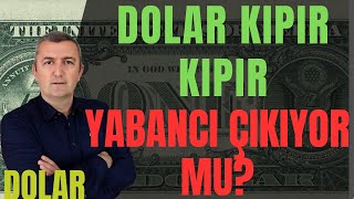 DOLAR FAİZ MERKEZBANKASI KRİZ USD EURO GBP 25062024 [upl. by Notlem]