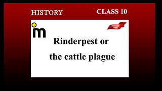 Rinderpest or the cattle plague  the making of a global world  class 10 history ncert [upl. by Antonio]