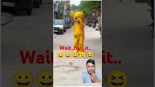 Wait for it hahhhahahacrazyteddy teddy funny [upl. by Norre343]