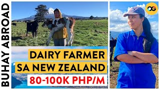 Becoming a Dairy Farmer in New Zealand  Buhay Abroad  OG [upl. by Ainoval]