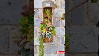 Easy Decorative Plants Pot DIY 🎍 planterdecor indoorgarden decoration bamboodecor [upl. by Notniv]