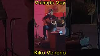 Volando Voy Kiko Veneno gitarre flamenco volandovoy kikoveneno camarón rumba camarondelaisla [upl. by Roselin]