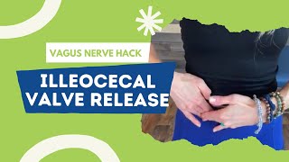 Vagus Nerve Hack  Ileocecal Valve Release  Visceral Release [upl. by Ilojna]