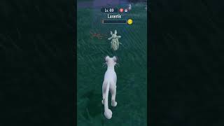 Shiny Lurantis in Safari Ball pokemon shinyhunt pokemonscarletandviolet [upl. by Dorinda419]