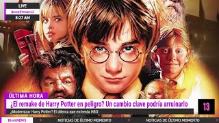 Harry Potter ¡Este CAMBIO podría ARRUINAR el REMAKE [upl. by Ygiaf186]