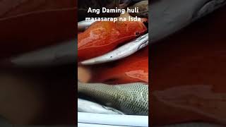 Masasarap na Isda Ang Nahuli fishing fishing fishingvideo fish fish viralvideo [upl. by Hairahcaz866]