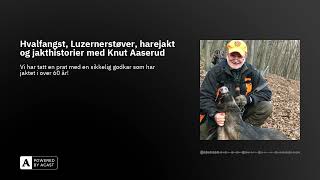 Hvalfangst Luzernerstøver harejakt og jakthistorier med Knut Aaserud [upl. by Ardisi476]