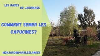 Comment semer les capucines   Monjadindansleslandes [upl. by Jahdal821]