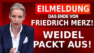 🚨 EILMELDUNG ALICE WEIDEL VERURTEILT MERZ [upl. by Streeto236]