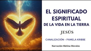 El Significado Espiritual de la Vida en la Tierra 💗💫 Mensaje de Jeshua 🦋Canalización Pamela Kribbe [upl. by Olraced404]