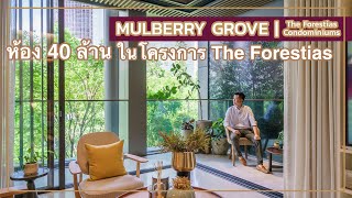 เล่าเรื่องบ้าน EP62  Mulberry Grove The Forestias Condominium คอนโด Super Luxuryใน เดอะ ฟอเรสเทียส์ [upl. by Erdnuaed]