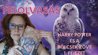 Magyar ASMR Felolvasás  Harry Potter és a bölcsek köve I fejezet asmr magyarasmr suttogás [upl. by Ahsirahc]