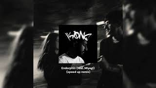 Endorphin feat Miyagi  speed up remix [upl. by Ydisac315]